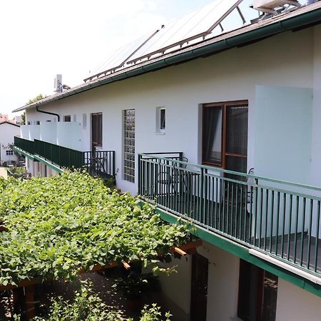Pension Daniela Steiner Podersdorf am See Exterior foto